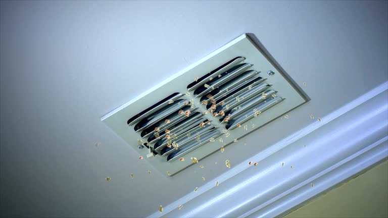 Ventilation Cleaning Services in HI