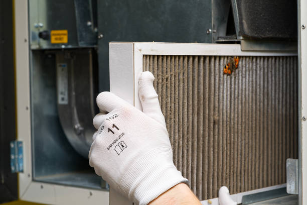 Best Home Air Vent Cleaning  in Nanawale Estates, HI